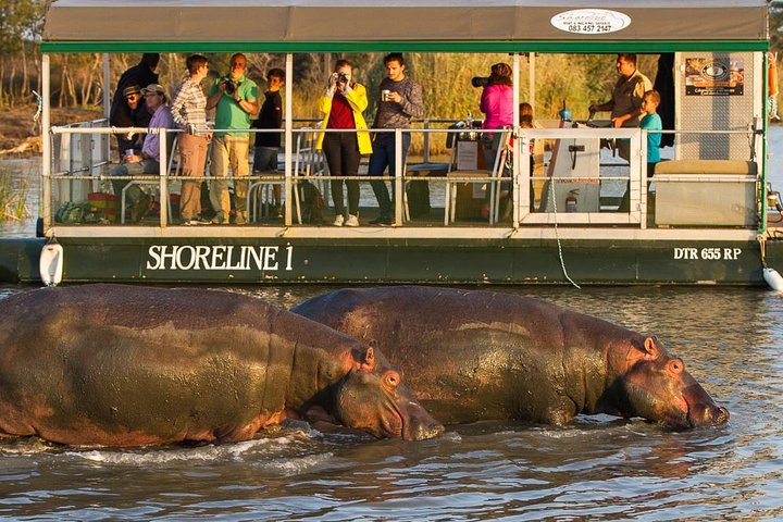 Shoreline Hippo and Crocodile Boat Cruises, iSimangaliso Wetland Park