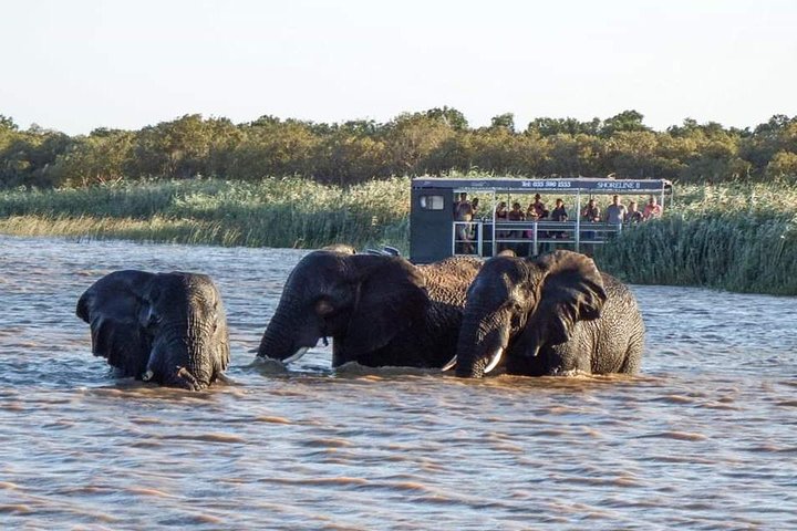Shoreline Hippo and Crocodile Boat Cruises, iSimangaliso Wetland Park