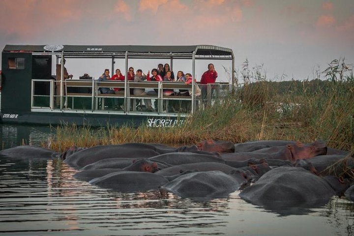 Shoreline Hippo and Crocodile Boat Cruises, iSimangaliso Wetland Park