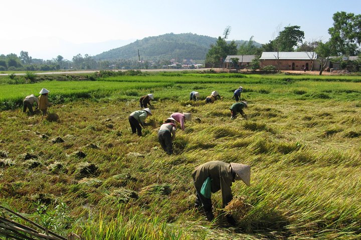 Dalat - Central Highland - Nha Trang