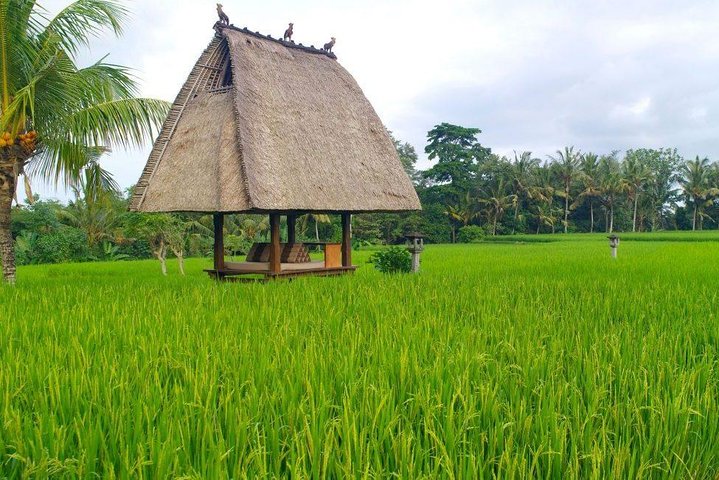 Ubud Private Tour - All Inclusive Premium Experience