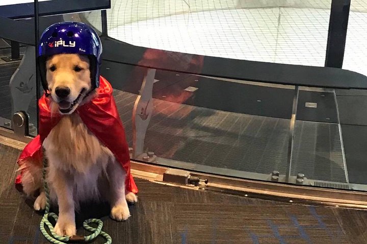 Oklahoma City Indoor Skydiving with 2 Flights & Personalized Certificate