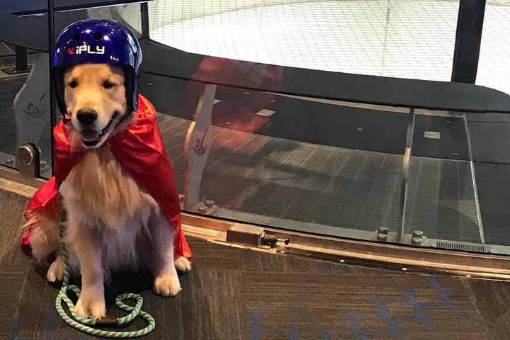 Paramus Indoor Skydiving Experience with 2 Flights & Personalized Certificate