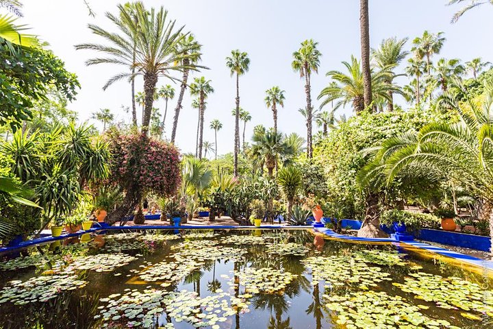 Marrakech Guided Day Trip from Agadir: Medina & Souks Tour