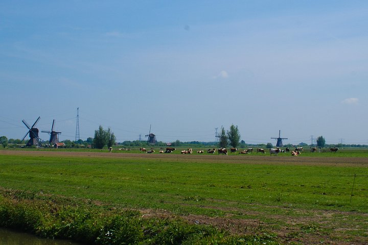 Kinderdijk Area Cycling Tour