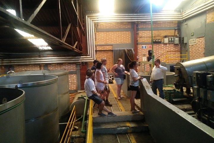 The Fire TOUR - Pyramids, Volcanoes, Agaves & Tequila