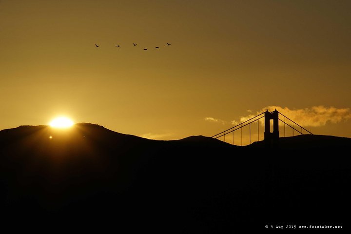 San Francisco Bay Sunset & City Lights Cruise