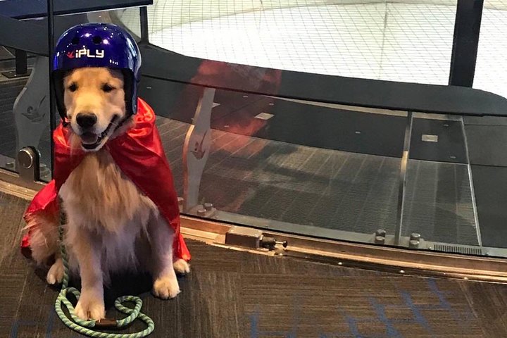 Sacramento Indoor Skydiving Experience with 2 Flights & Personalized Certificate