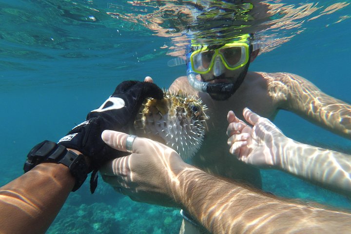 Snorkeling with Turtles on Gili Trawangan