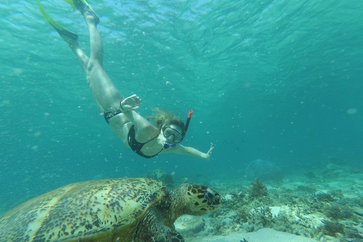 Snorkeling with Turtles on Gili Trawangan