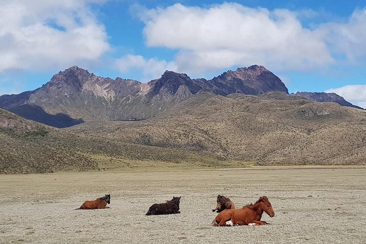 Cotopaxi & Quilotoa Volcanoes Tour All-in-One Day Trip from Quito