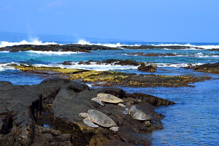 Hilo Shore Excursion: Volcanoes National Park & Black Sand Beach