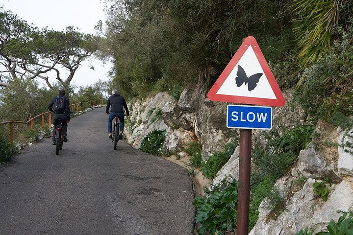 EBike-Gibraltar: Rock To The Top Tour
