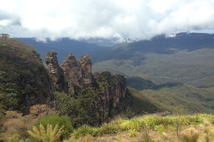 Blue Mountain Small Group Tour All Inclusive