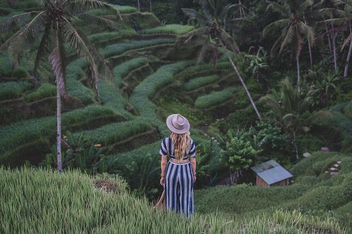 Ubud: Monkey Forest, Jungle Swing, Rice Terrace and Water Temple