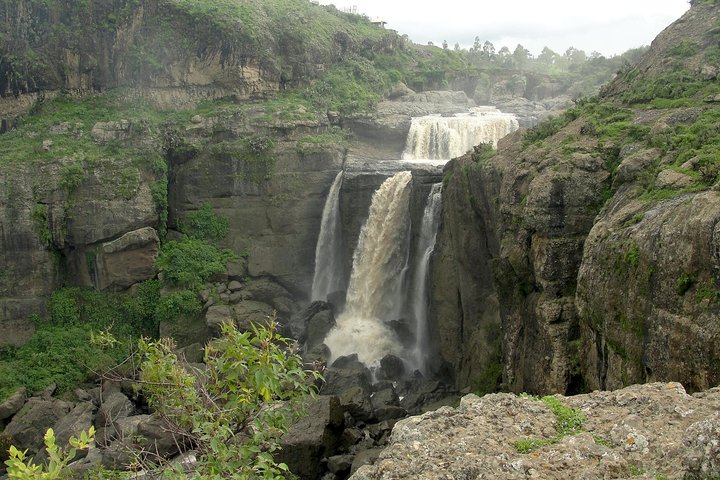 Day Trip From Addis Ababa See Historical Monastery,Stunning Nature,Animals,Birds