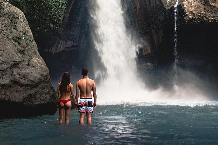 Ubud: Monkey Forest, Jungle Swing, Rice Terrace and Water Temple