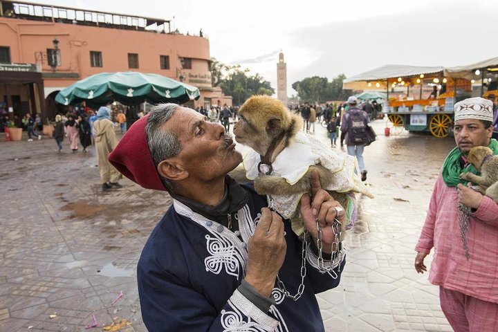 Marrakech: Private Guided Half-Day City Tour