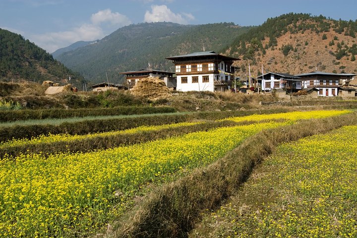Bhutan Vacation (5 Nights-6 Days)