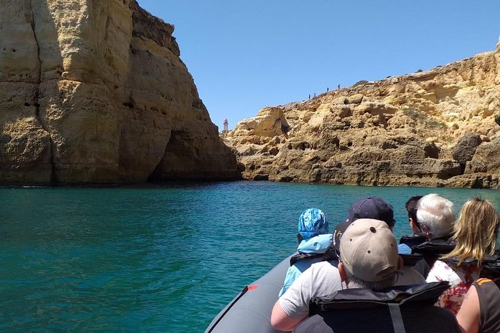Dolphins Search and Benagil Caves from Albufeira
