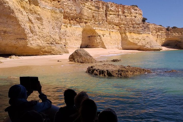 Dolphins Search and Benagil Caves from Albufeira
