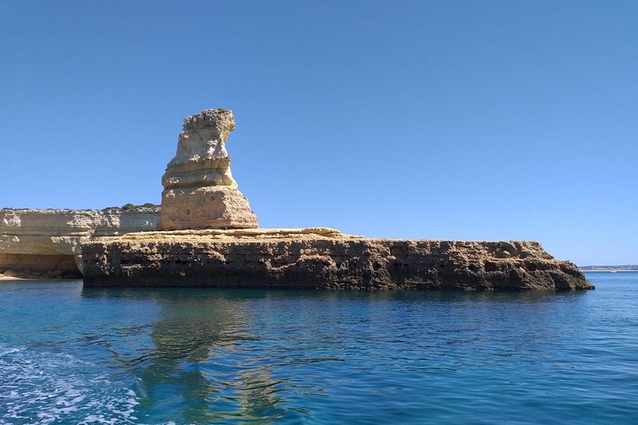 Dolphins Search and Benagil Caves from Albufeira