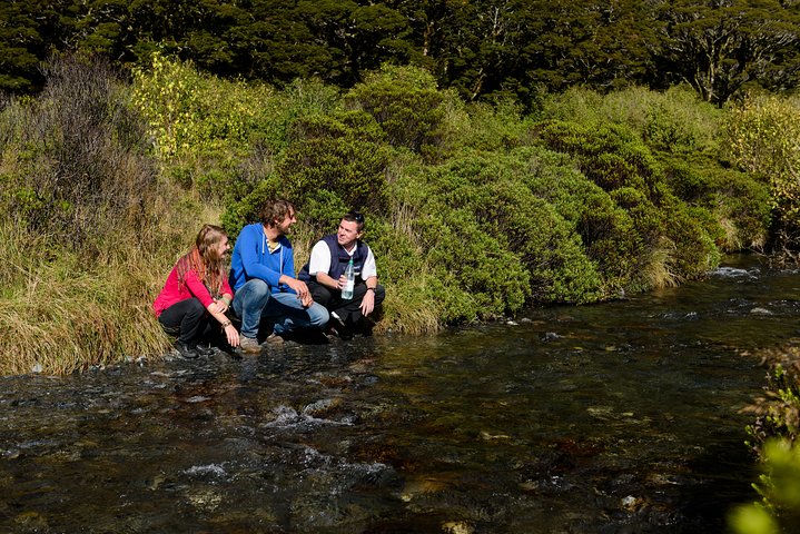 Milford Sound Day Tour with Scenic Cruise from Queenstown