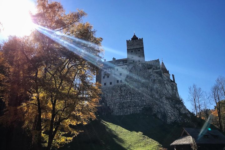One day trip Bear Sanctuary, Dracula Castle, Rasnov Fortress from Brasov