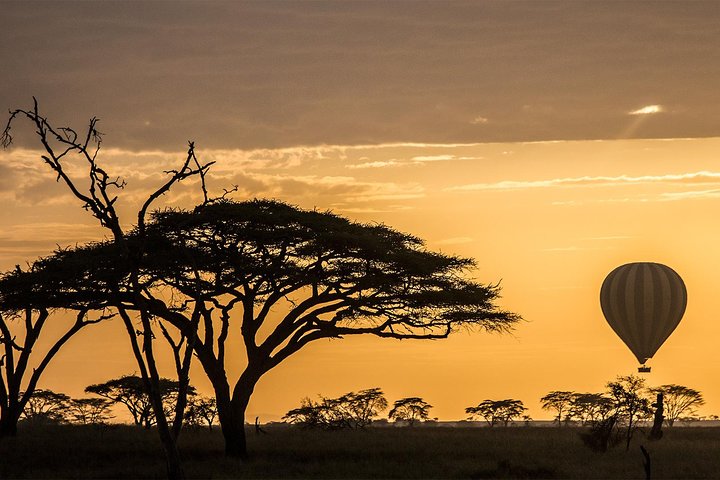 Serengeti Balloon Safari and authentic bush breakfast