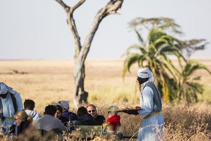 Serengeti Balloon Safari and authentic bush breakfast