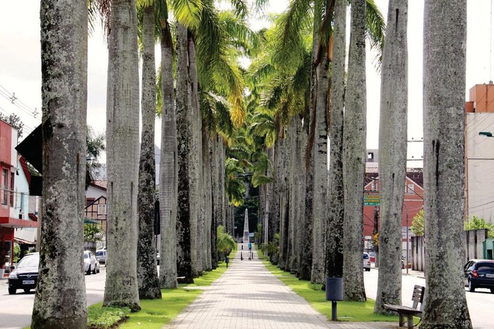 Blumenau City Tour from Balneário Camboriú