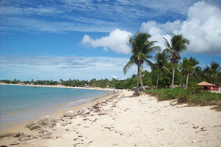 Coroa Vermelha - Discovery Coast - Day Trip from Porto Seguro