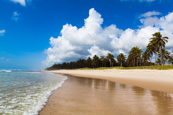South Coast Frances Beach with Maceió City Tour