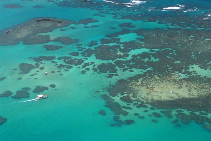 Maragogi Beach Gales Reef