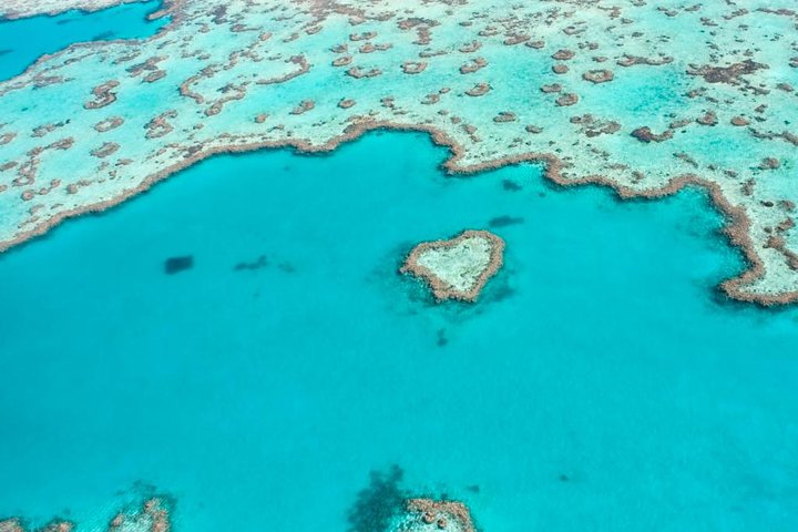 Maragogi Beach Gales Reef