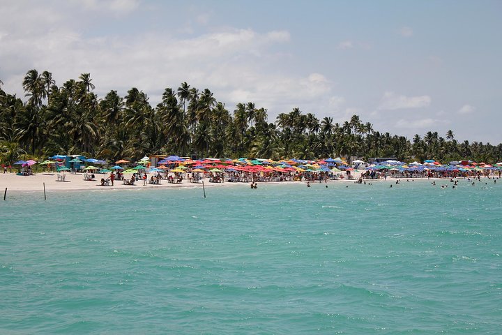 Maragogi Beach Gales Reef