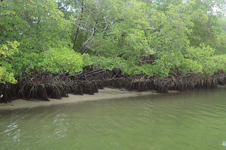 Tour to Praia De Carneiros