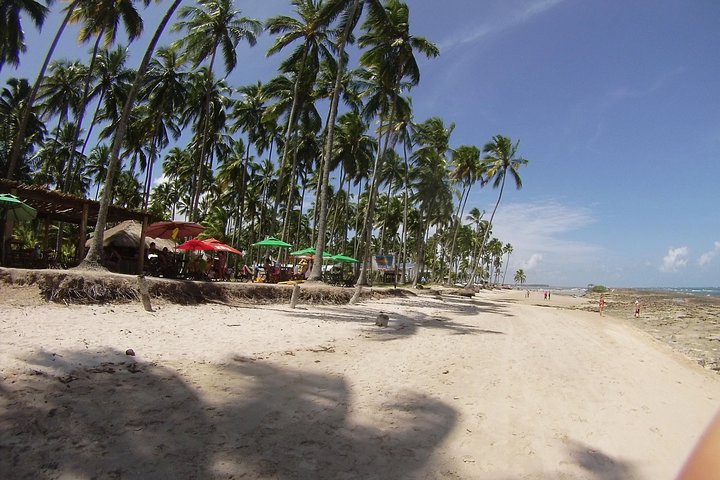 Tour to Praia De Carneiros
