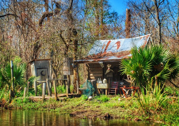 Swamp Boat Ride and Oak Alley Plantation Tour from New Orleans