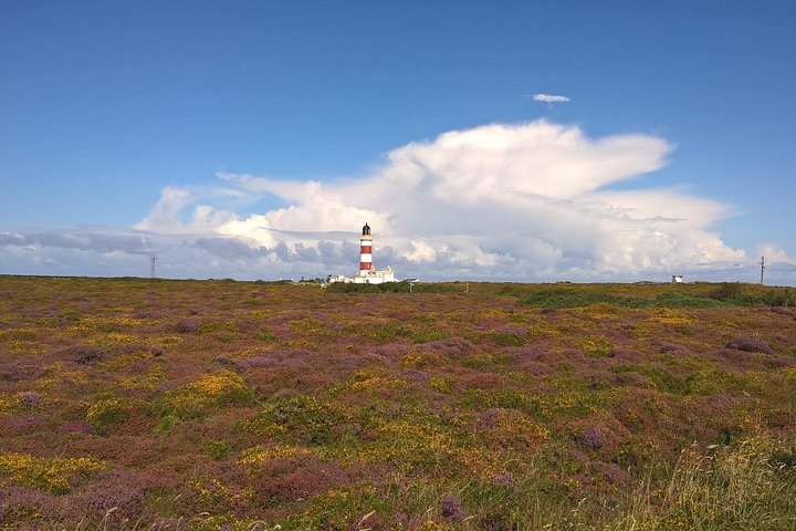 Full Day tour Laxey and Northern plains with qualified Isle of Man Tour Guide
