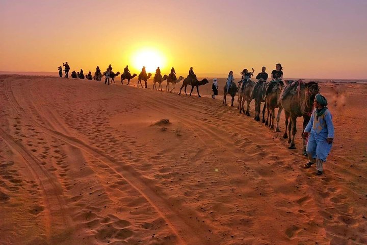 1 Night All inclusive Camel Ride & Desert Camp