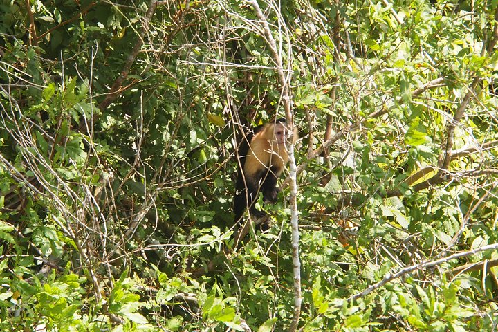 Soberania National Park Hike