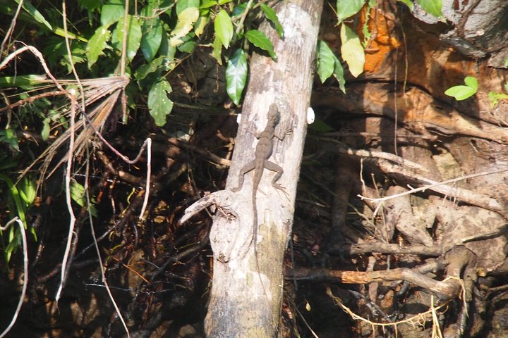 Soberania National Park Hike