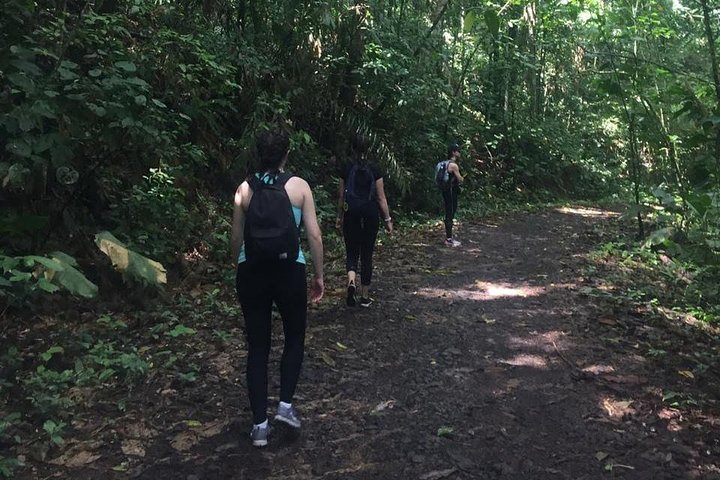 Soberania National Park Hike