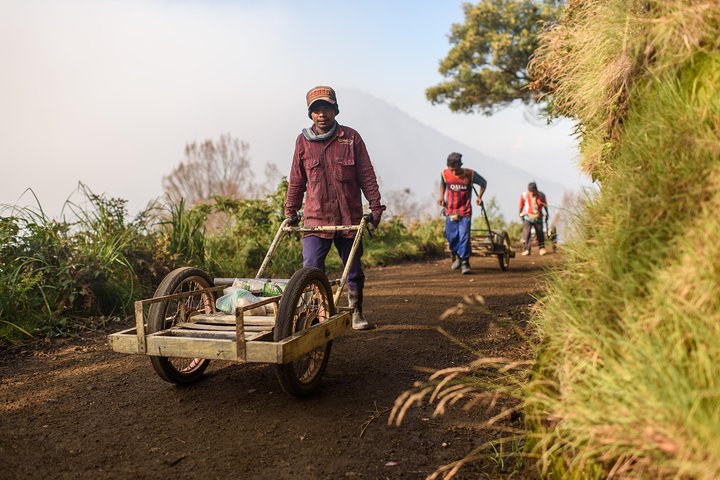 From Bali or Java : Bromo & Kawah Ijen – 3-Day Adventure