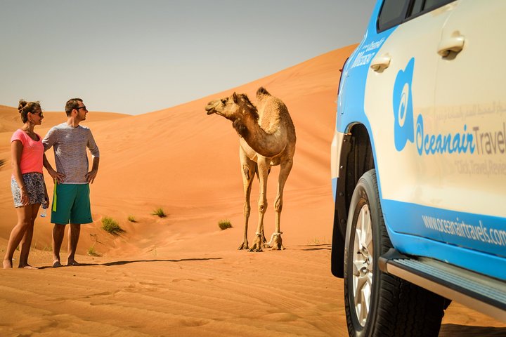 Dubai: Half-Day Desert Safari, Camels, Quad Bike & Refreshments