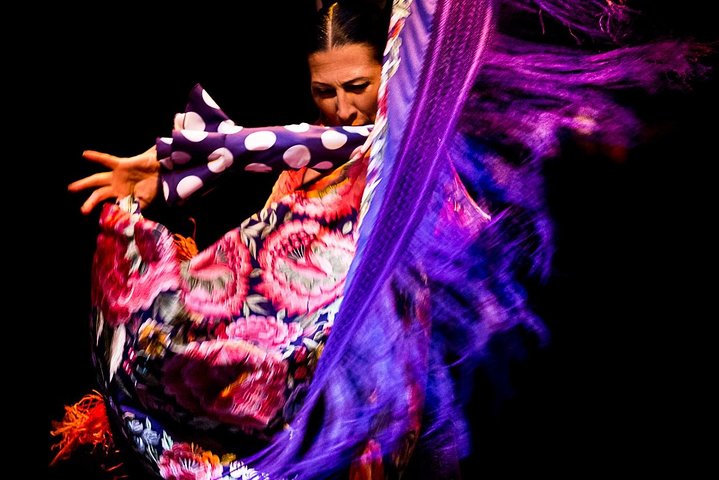 Seville: Puro Flamenco Show - Museo del Baile Flamenco
