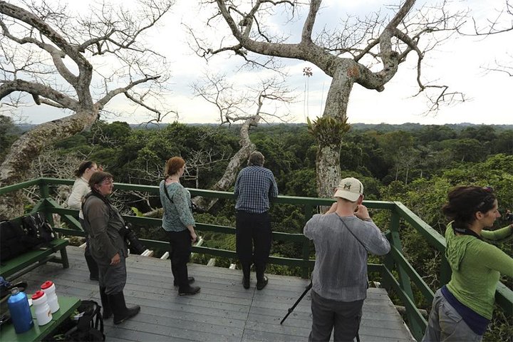Tour Amazon Yasuni 5D - 4N