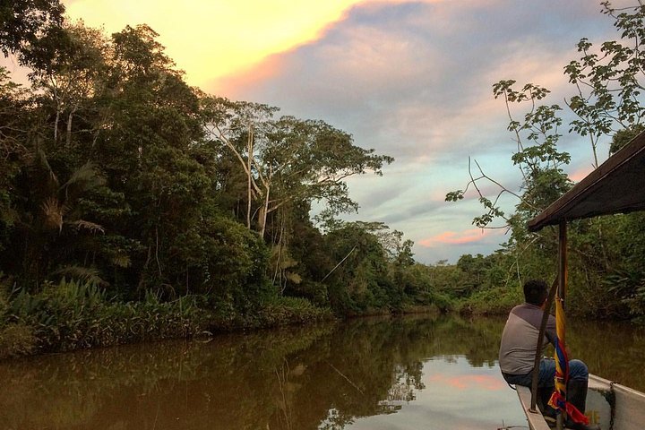 Tour Amazon Yasuni 5D - 4N