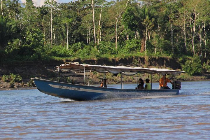 Tour Amazon Yasuni 5D - 4N